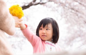 たんぽぽ花束と女児